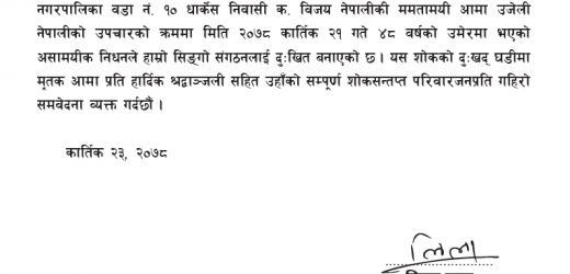 युवा संगठन नेपाल पाल्पाद्वारा उजेली नेपालीको निधनप्रति श्रद्धाञ्जली